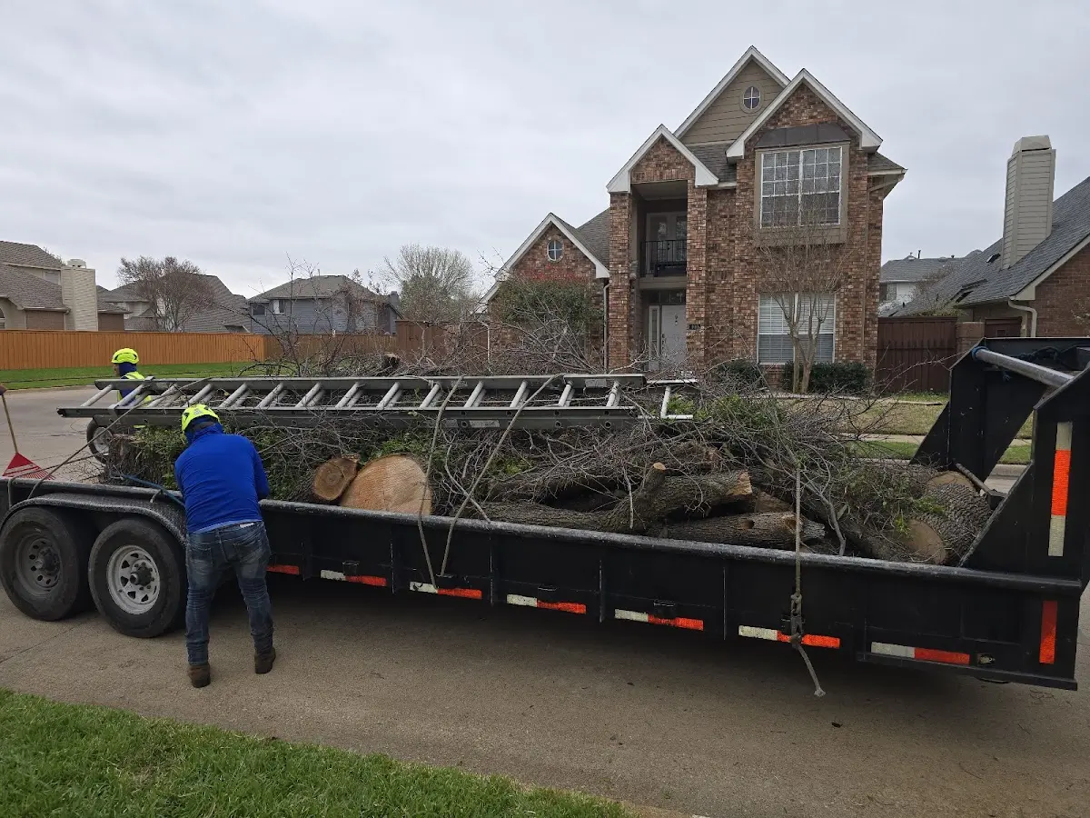 Expert Tree Fertilization with proper safety equipment in Pineville